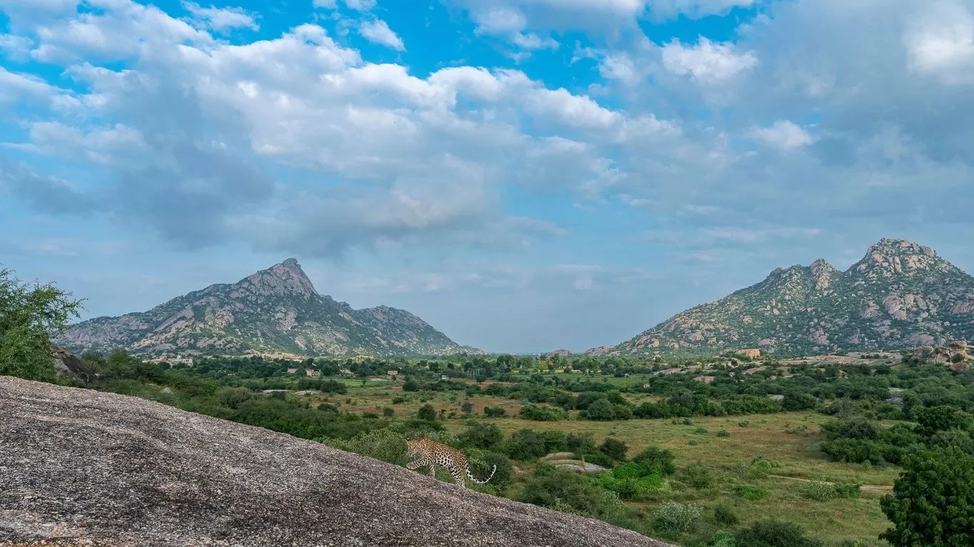 The Granite & Teak Trail