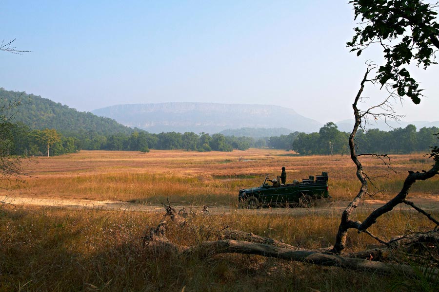 Bandhavgarh National Park
